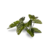 080089_0c707bf8a7174c789cad4aa12ea0005f~mv2