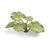 080089_b03be458826f40dcb9f57ce12f28d5b6~mv2