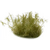 080089_0fc02dd2eb1b43449233e37b42975e0e~mv2