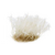 080089_955986b2f1a74bd4ab5aa85c7975b442~mv2