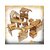 080089_7bae44727bc14c1fa13dcaeca05cc556~mv2