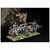 conquest-hundred-kingdoms-household-knights