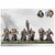 conquest-nords-ulfhednar-oolf-head-nar