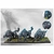 conquest-nords-fenr-beastpack-wargs