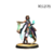 eldfall-chronicles-taskmage-explorer