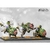 conquest-weaver-courts-fianna-cavalry