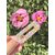 barette pastel