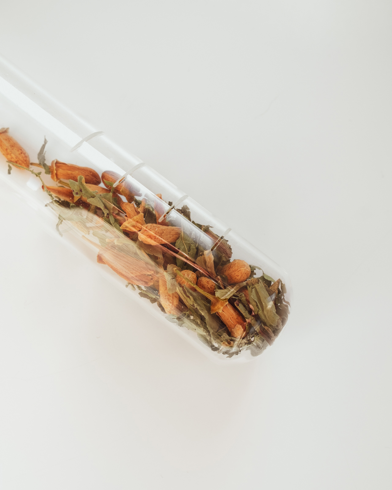 infuseur_1