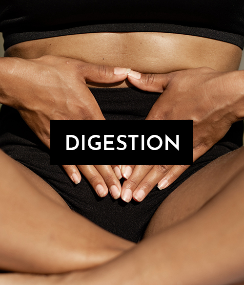 miniature menu digestion