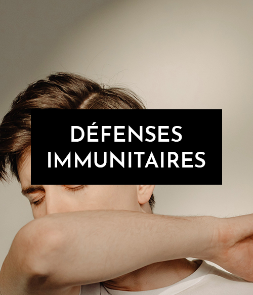 miniature menu defenses