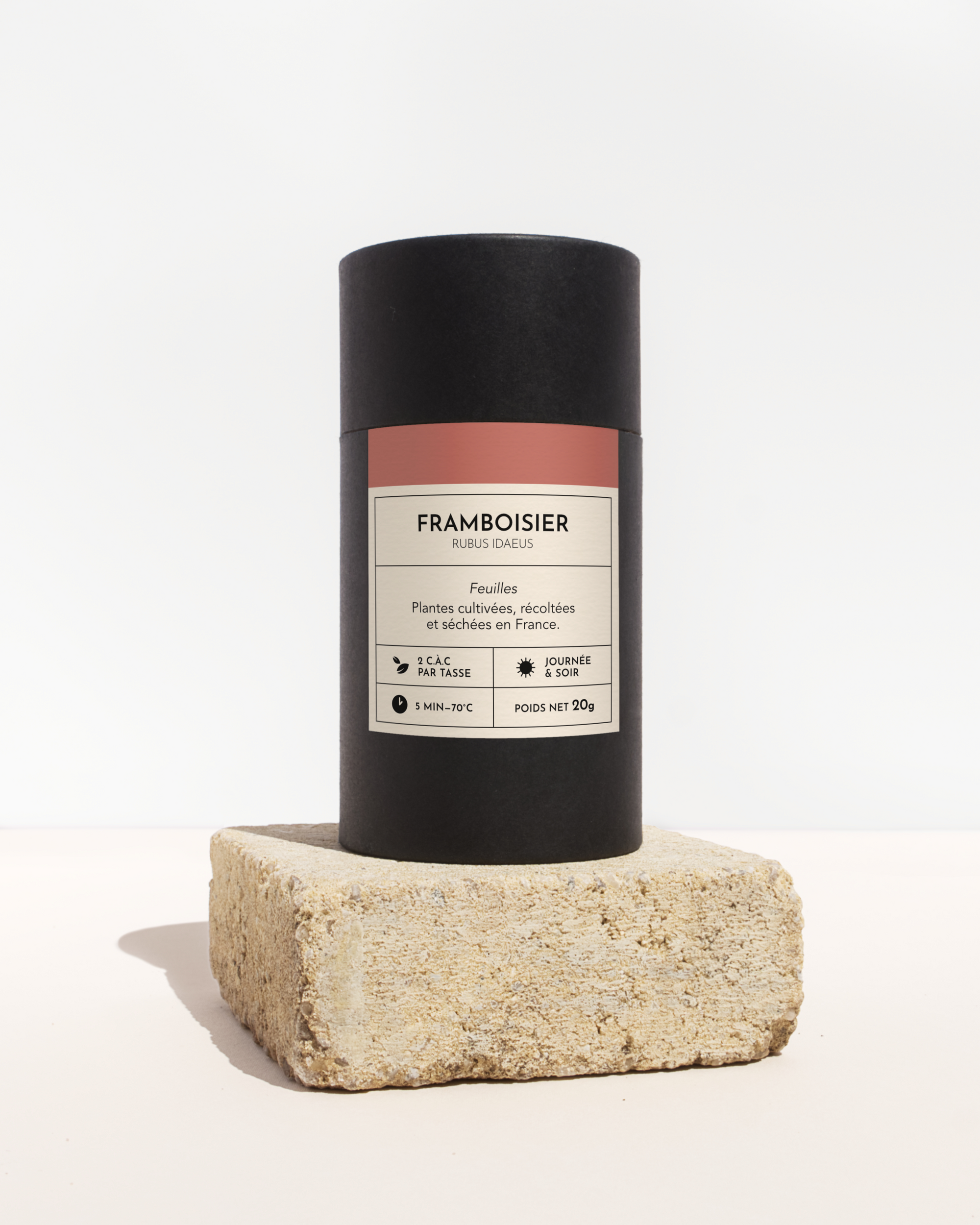 plante medicinale-framboisier-feuille-01