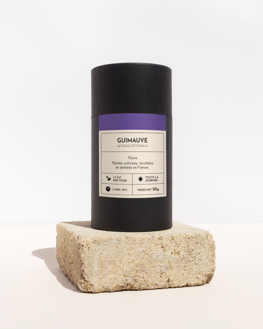 plante medicinale-Guimauve-fleur-01