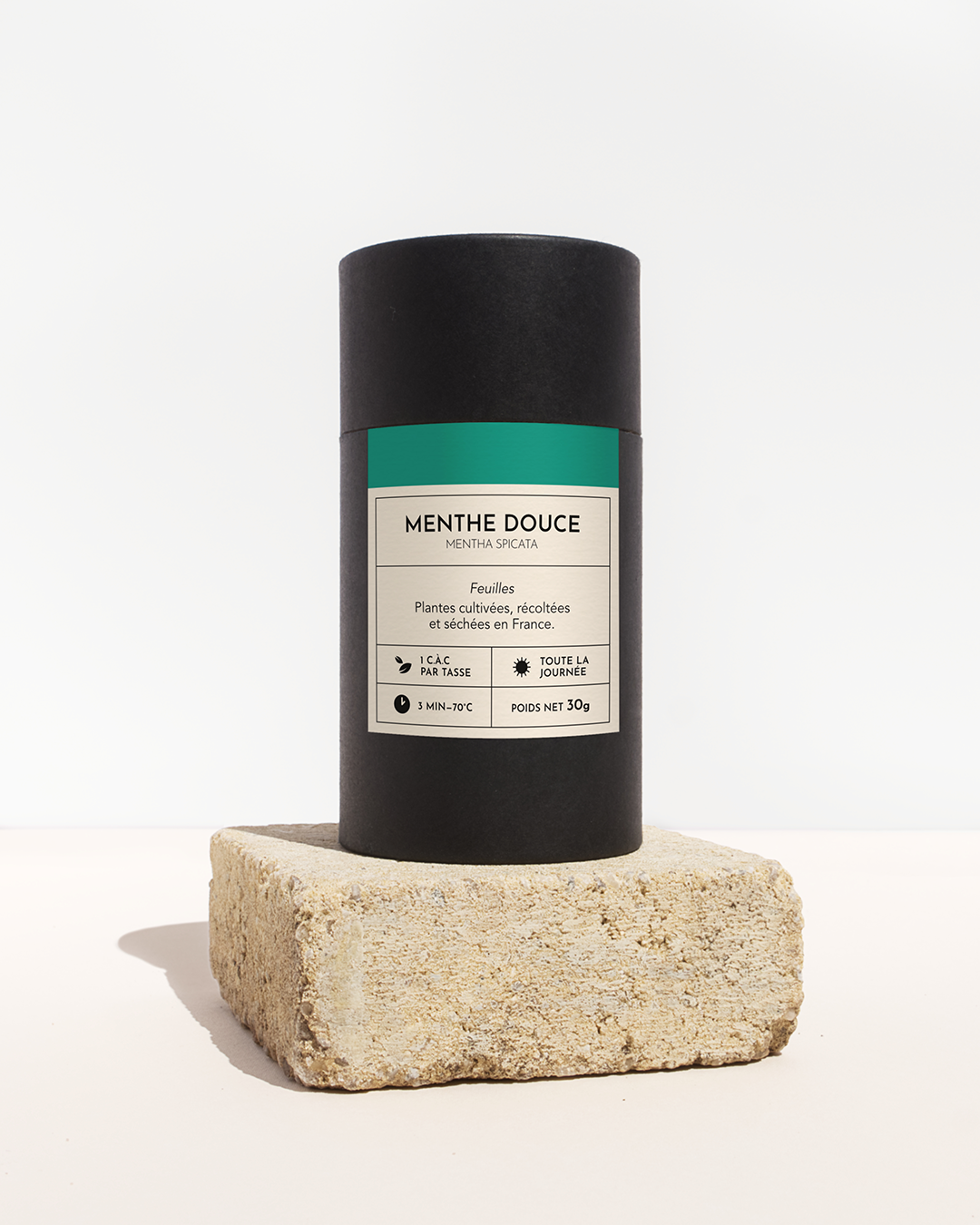 plante medicinale-menthe douce-feuille-01