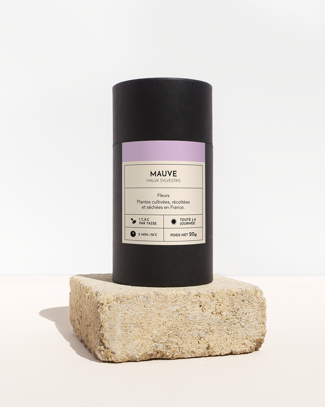 plante medicinale-mauve-fleur-01