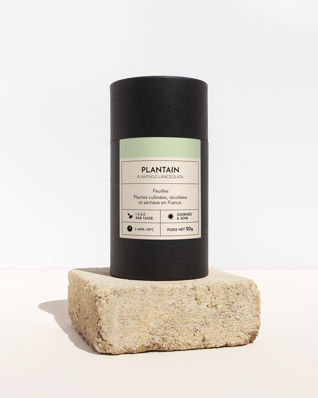 plante medicinale-plantain-feuille-01