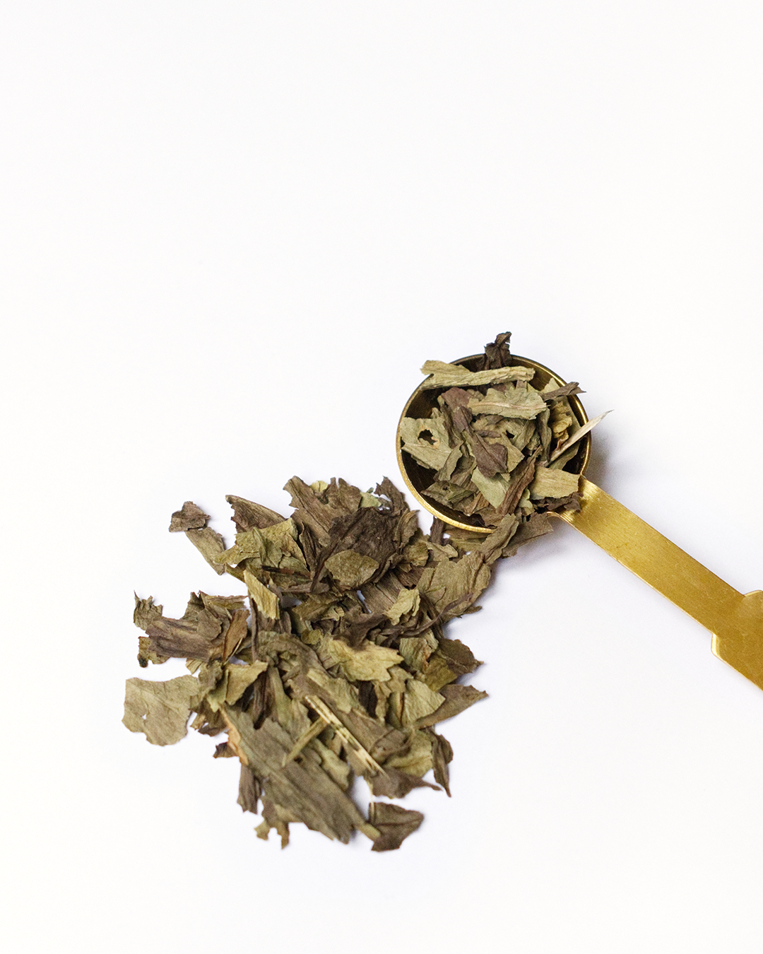plante medicinale-plantain-feuille-02