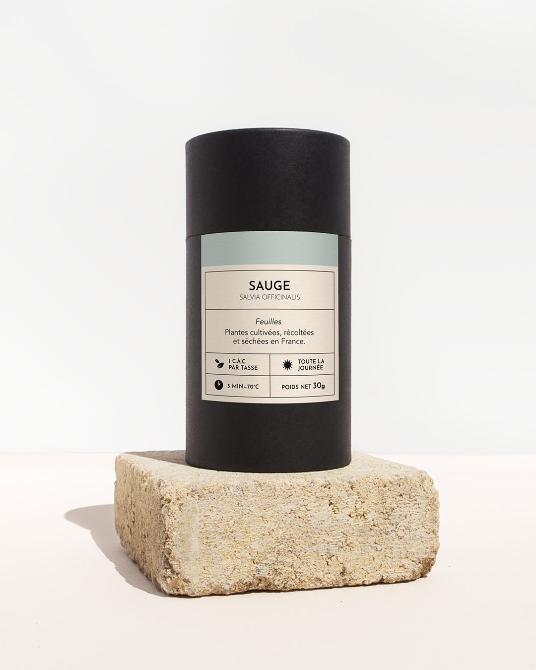 plante medicinale-sauge-feuille-01