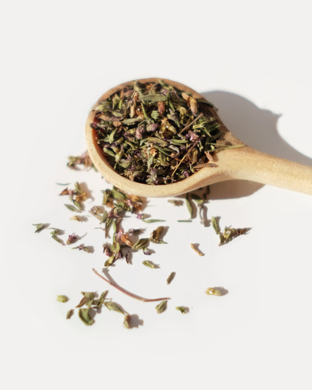 plante medicinale-thym-feuille-01