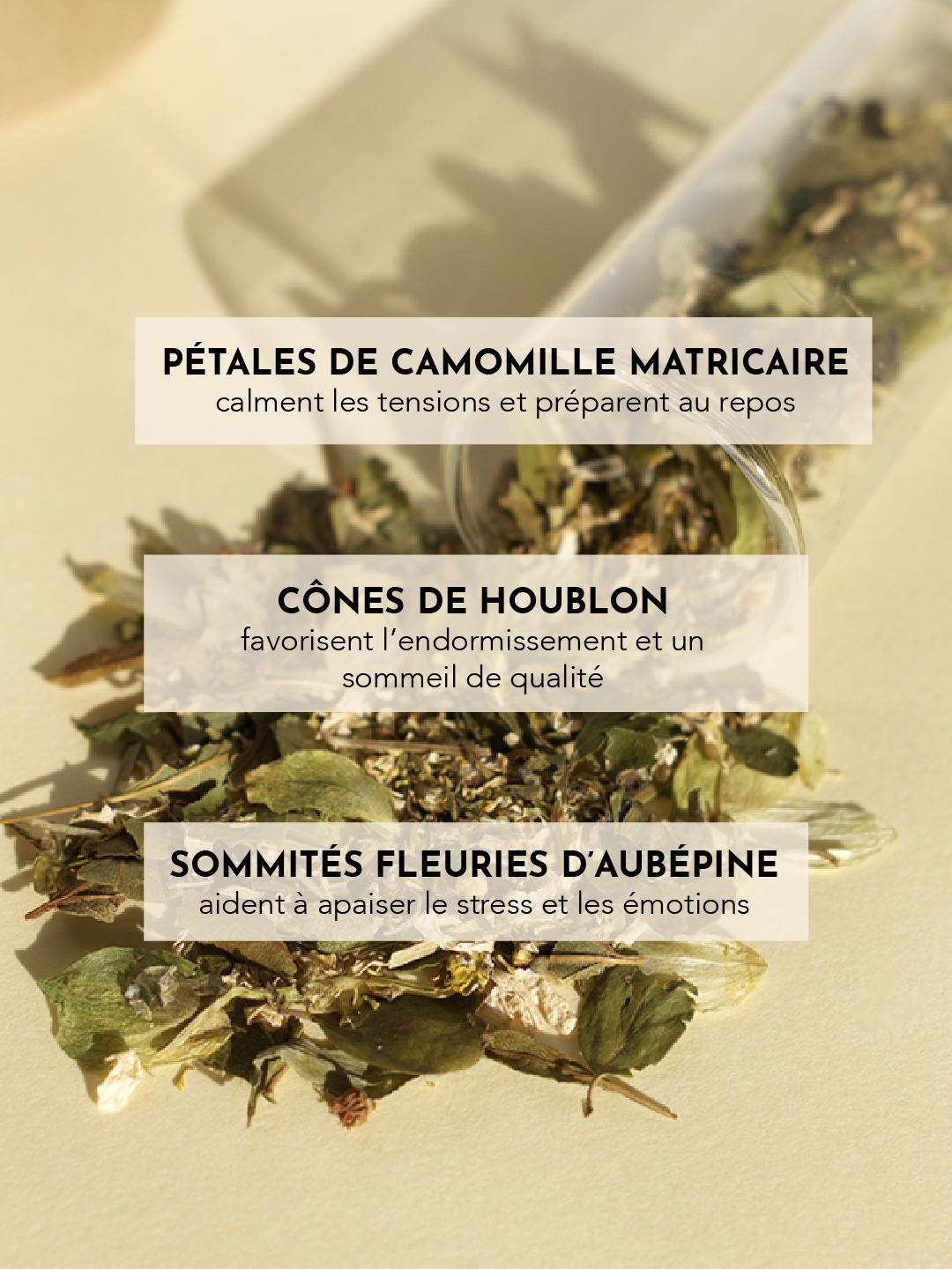Tisane Tranquili-T- relaxation sommeil-02