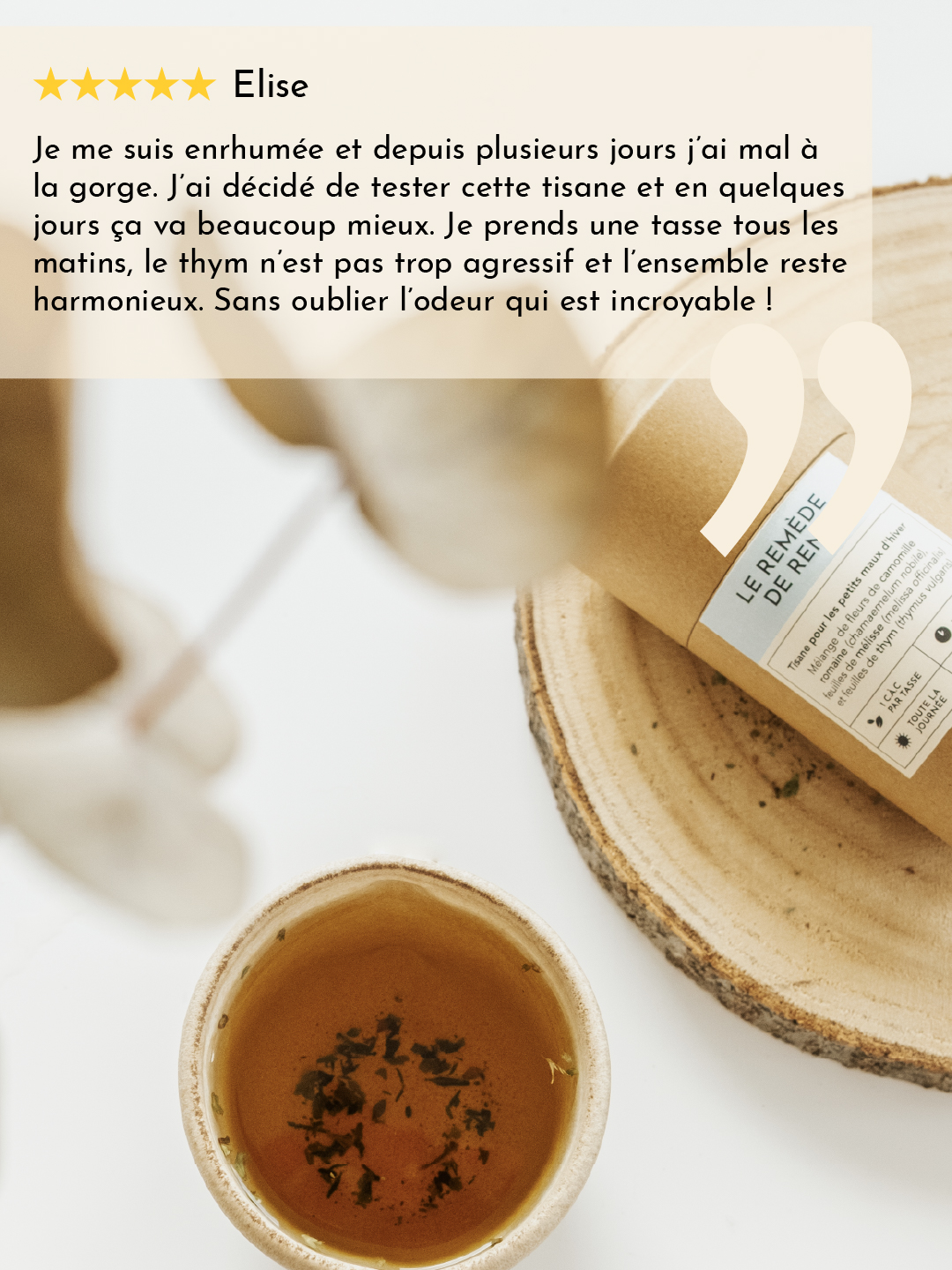 Tisane Remede de rene - defenses immunitaire -04