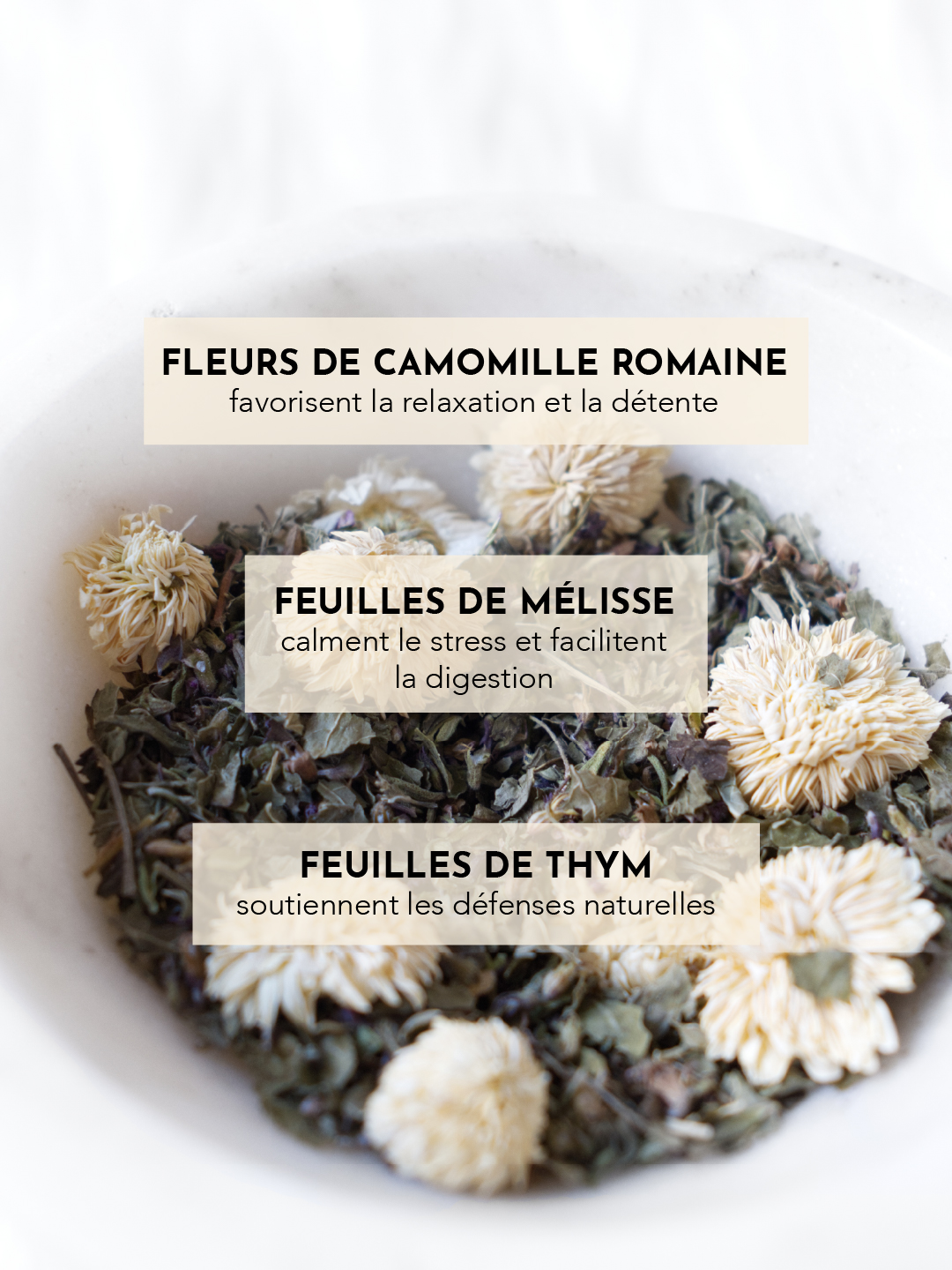 Tisane Remede de rene - defenses immunitaire -02