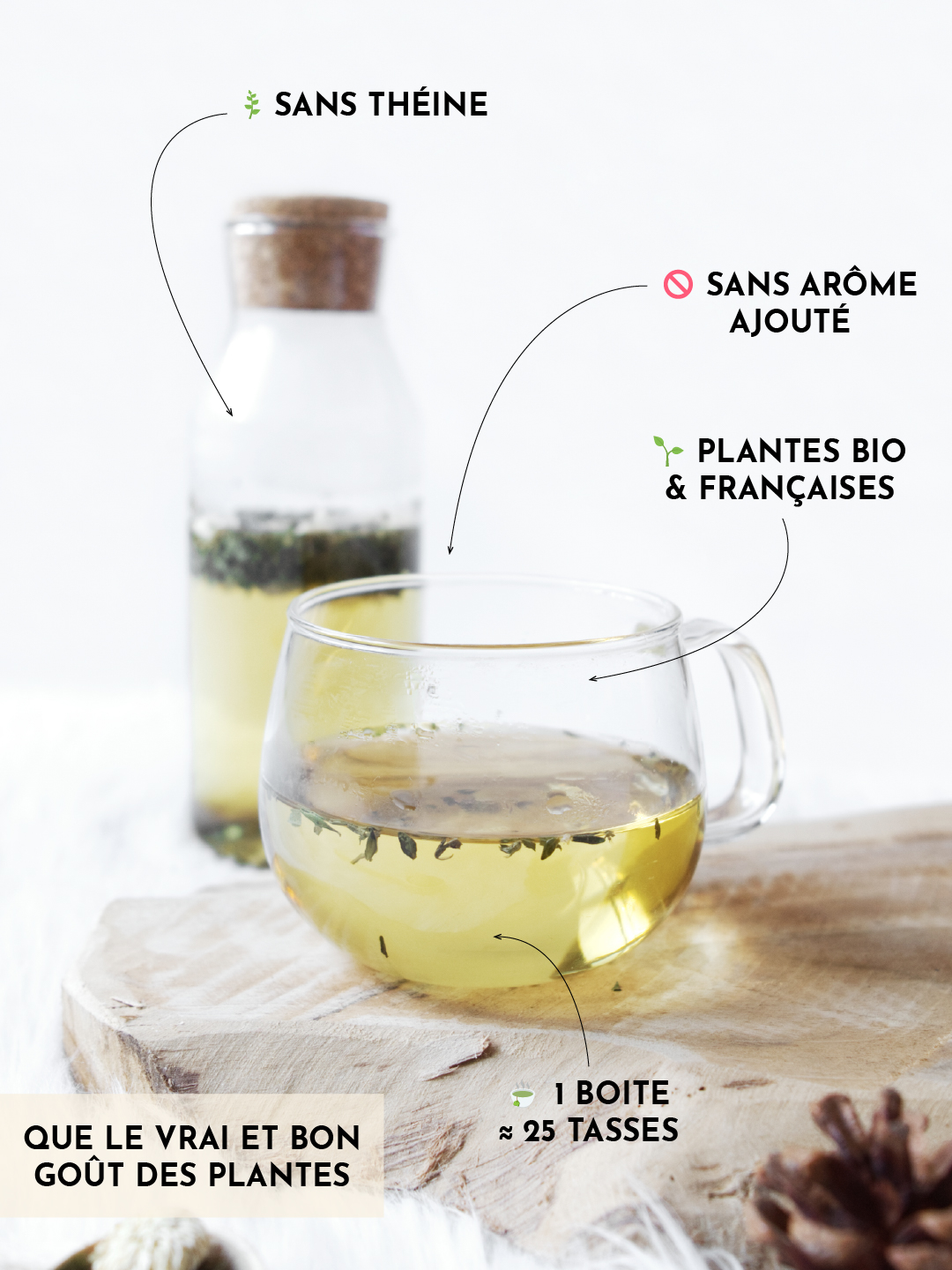Tisane Remede de rene - defenses immunitaire -03