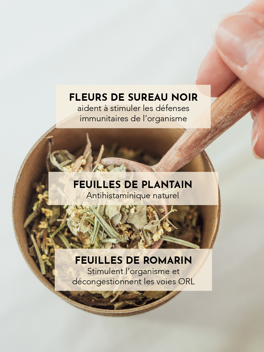 Tisane - La douceur printanniere-allergie - pollen - defenses immunitaire -02