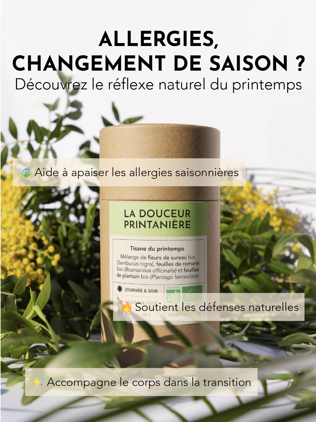 Tisane - La douceur printanniere-allergie - pollen - defenses immunitaire -01