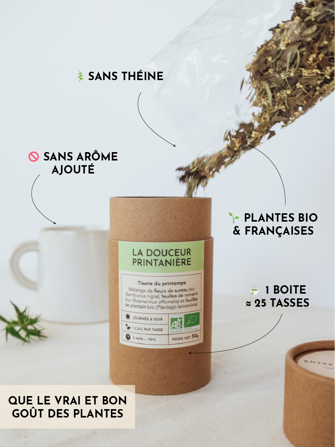 Tisane - La douceur printanniere-allergie - pollen - defenses immunitaire -03