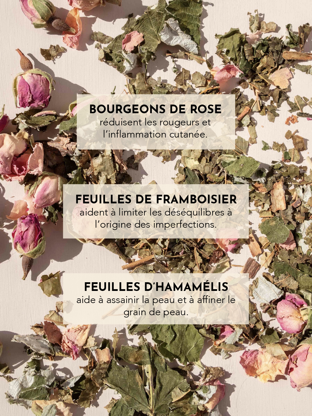 Instant Beaute-01-02