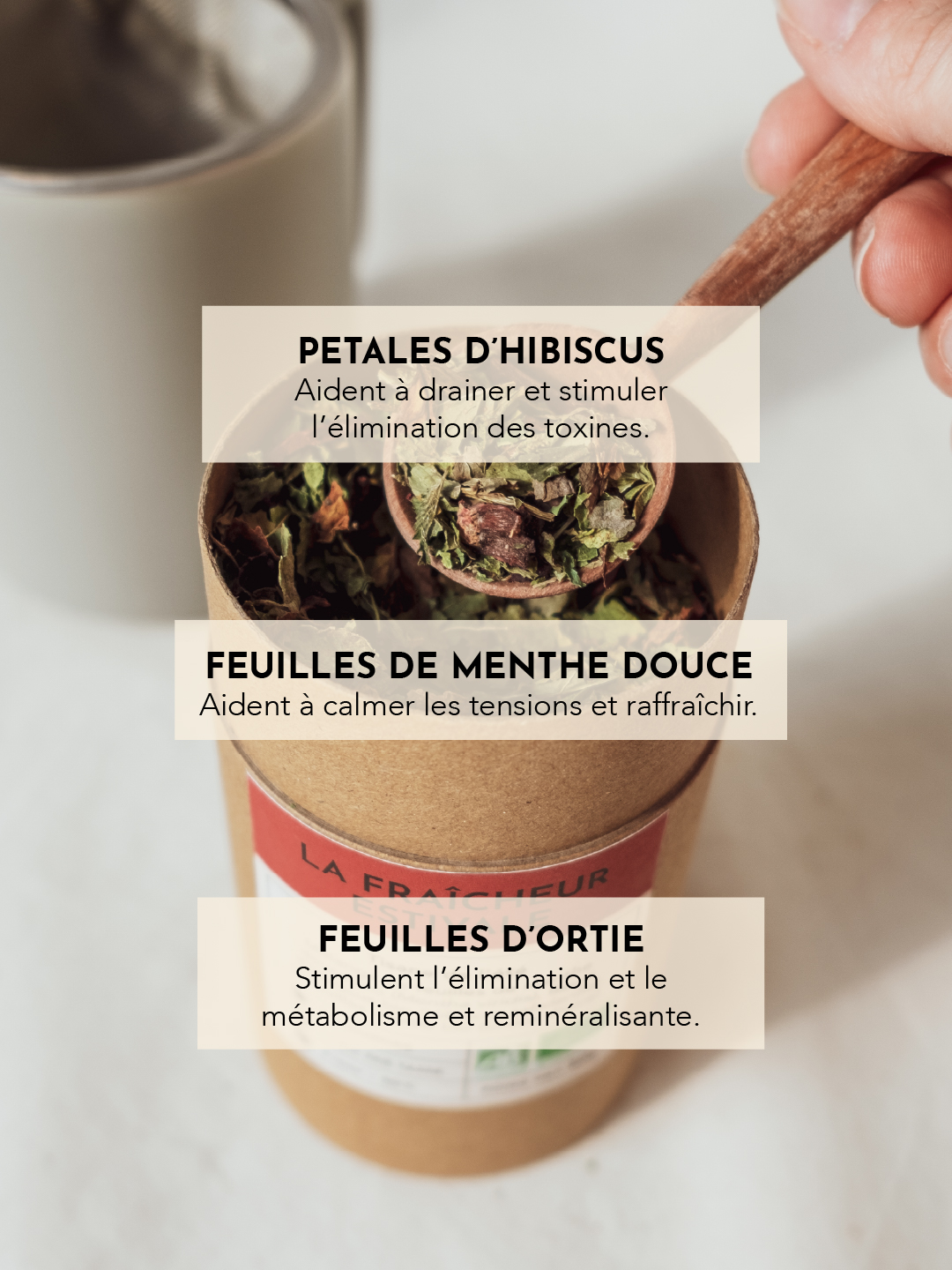 Plan de travail 2-100
