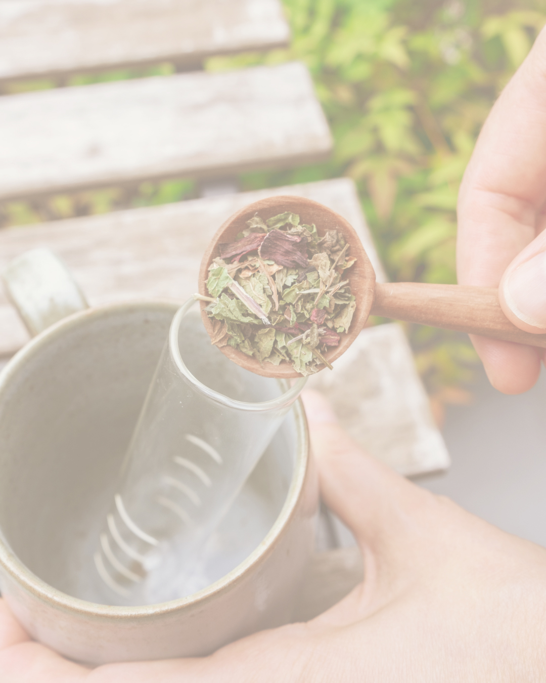infuseur cuillere tasse
