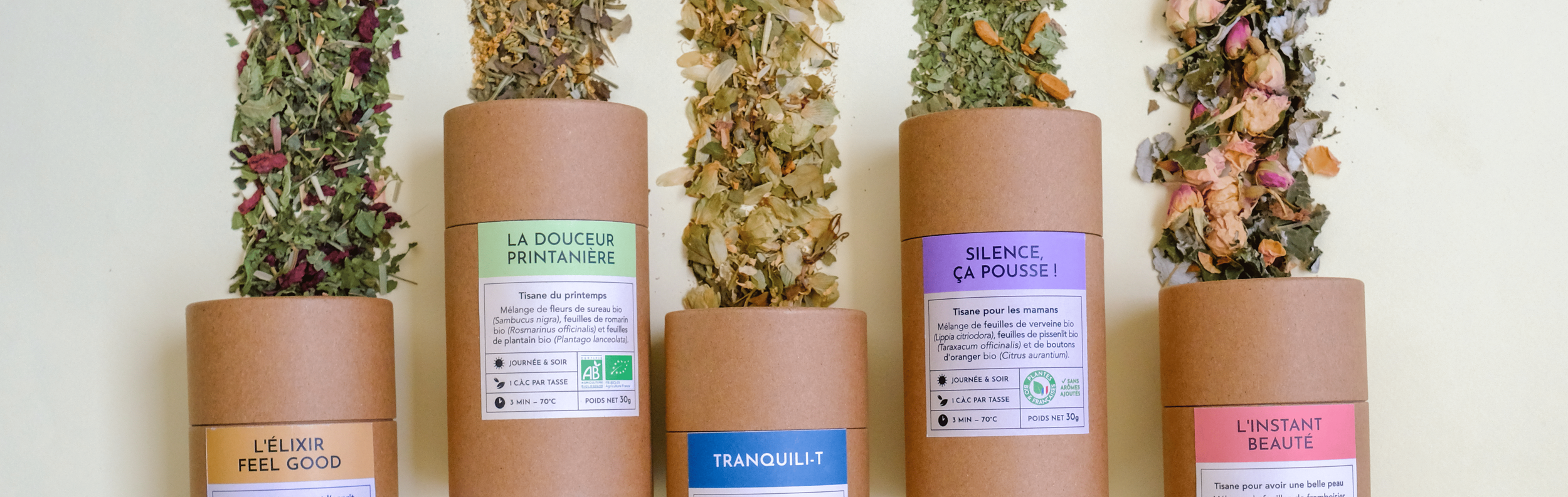 infusion glacee bio francaise