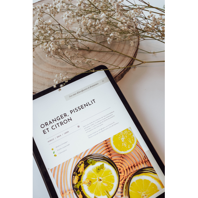 ebook_printemps-ete-7