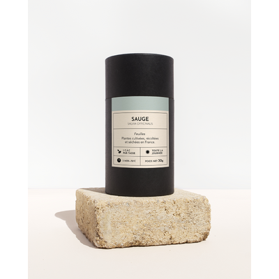plante medicinale-sauge-feuille-01