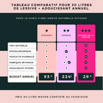 Comparatif de lessive vs lessive Maison de la lessive