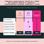 Comparatif de lessive vs lessive Maison de la lessive version 1 LITRE