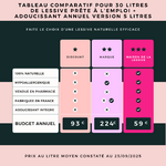 Comparatif de lessive vs lessive Maison de la lessive version 5 LITRES