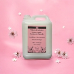 LESSIVE LIQUIDE CONCENTREE A 9.90€ LES 5 LITRES