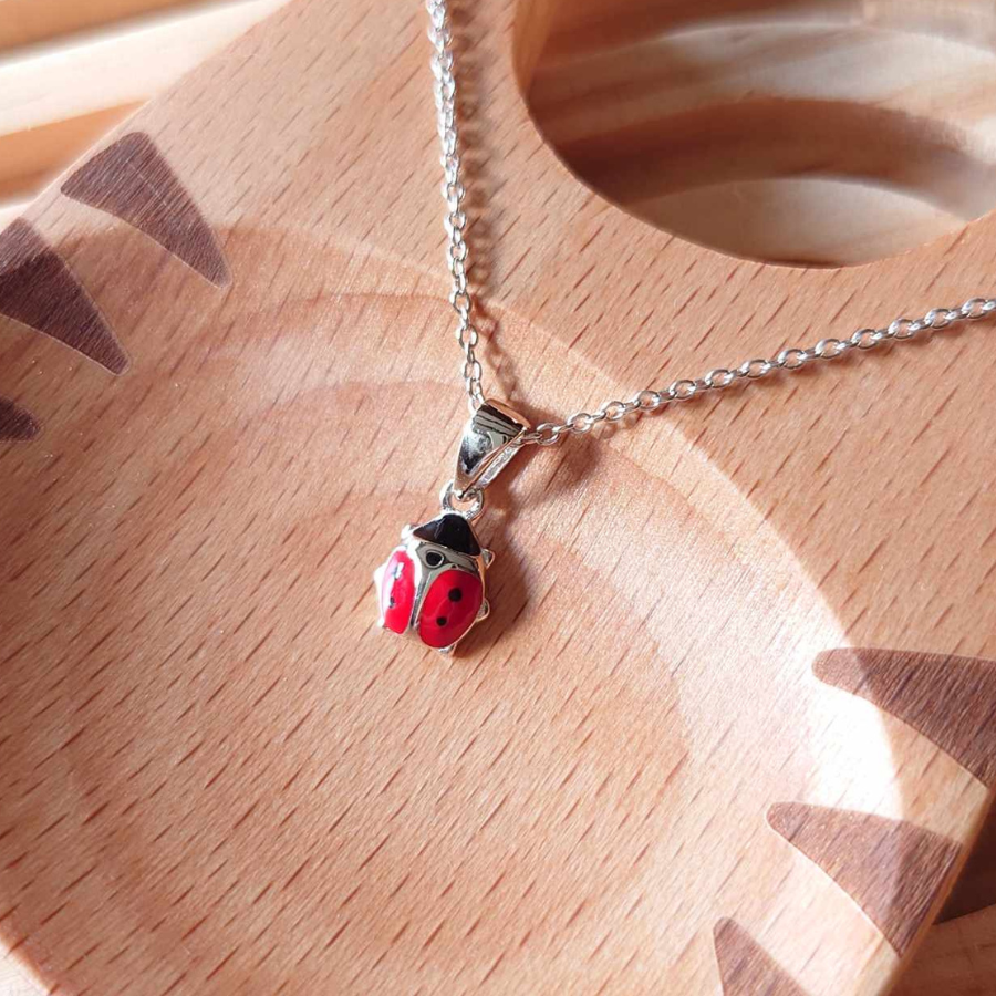 CO-ENF-COCCINELLE1