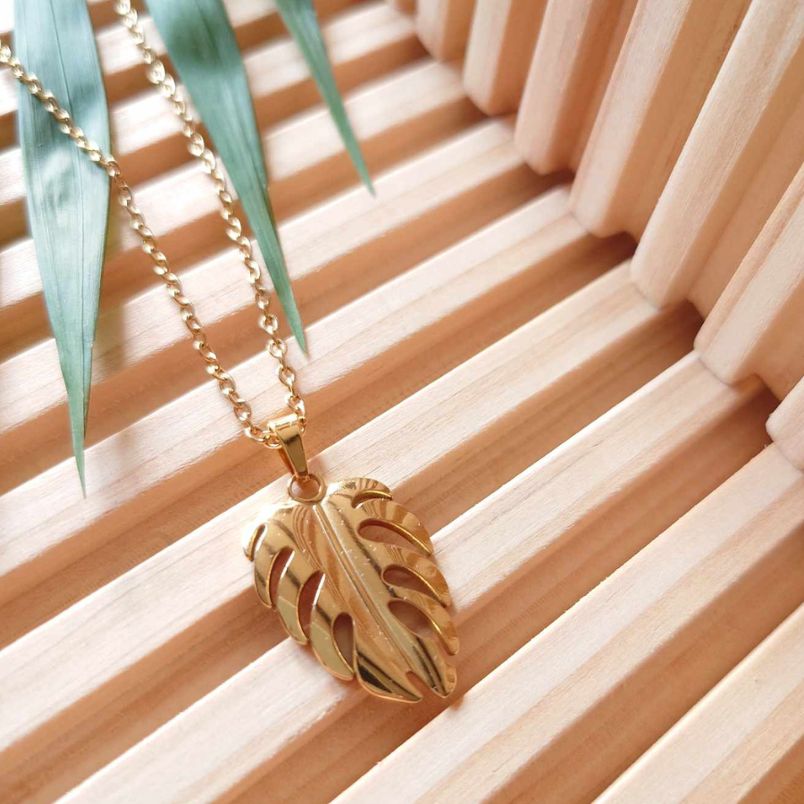 CO-MONSTERA1