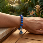 BR-MIA-BLEUVIOLET PORTE1