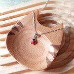 CO-COCCINELLE1