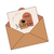 Copie de CARTE CADEAU