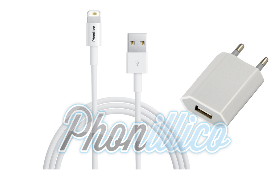 22-Cable+ChargeurSecteur