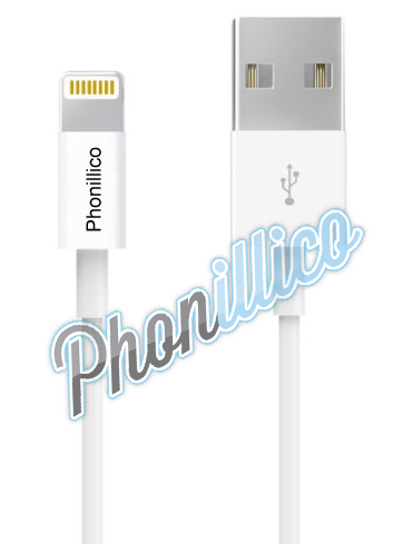 usb1