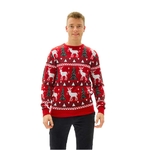 pull-de-noel-le-renne-et-le-sapin-homme