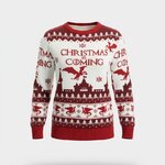 weihnachtspullover-christmas-is-coming-packshot