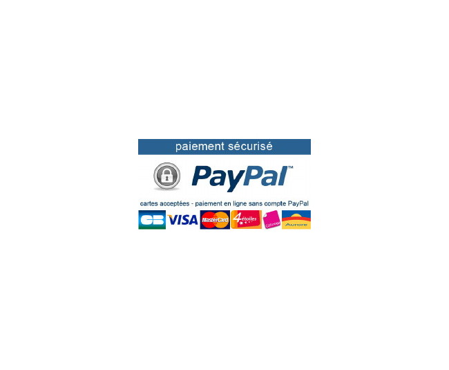 paypal