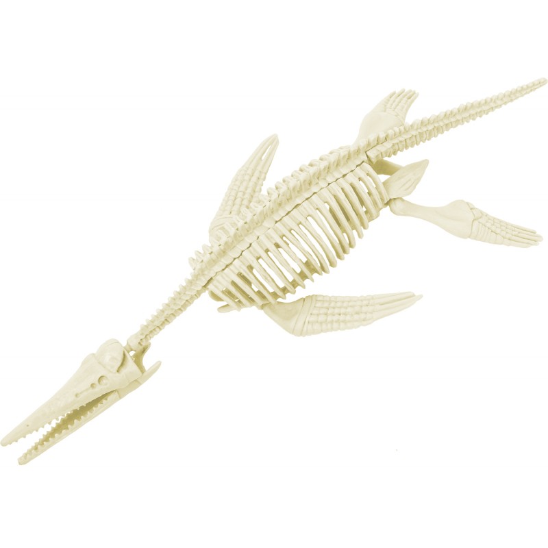 kit-paleo-pliosaure (1)